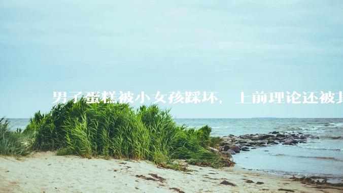 男子蛋糕被小女孩踩坏，上前理论还被其家长辱骂殴打，如果发生这种事情有比***里当事人更好的处理方法吗？