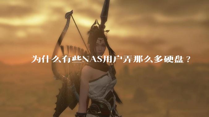 为什么有些NAS用户弄那么多硬盘?